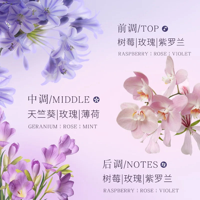 Parfum Splendide Encounter Purple 50ml – Floral, Spray Natural